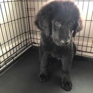 Meet your Posher, Manal